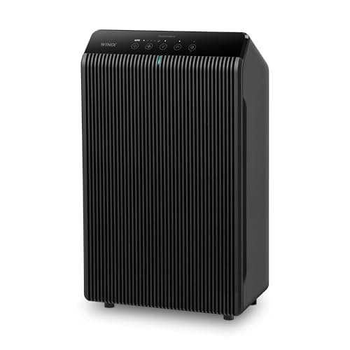 Winix 5500-2