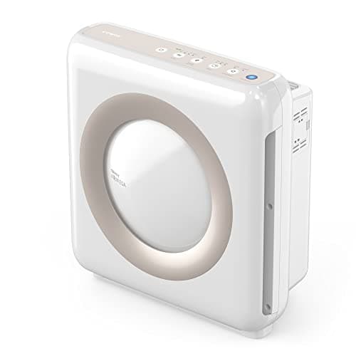 Coway AirMega