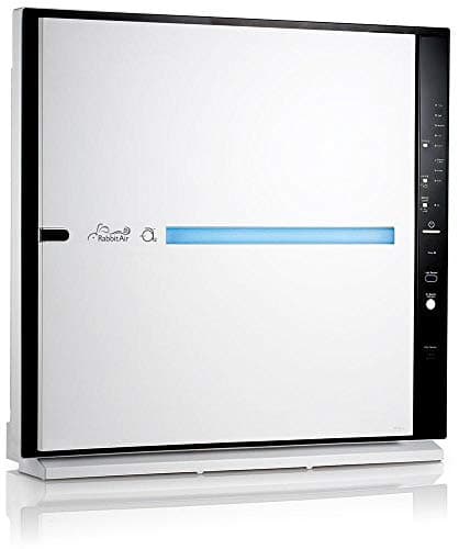 RabbitAir MinusA2